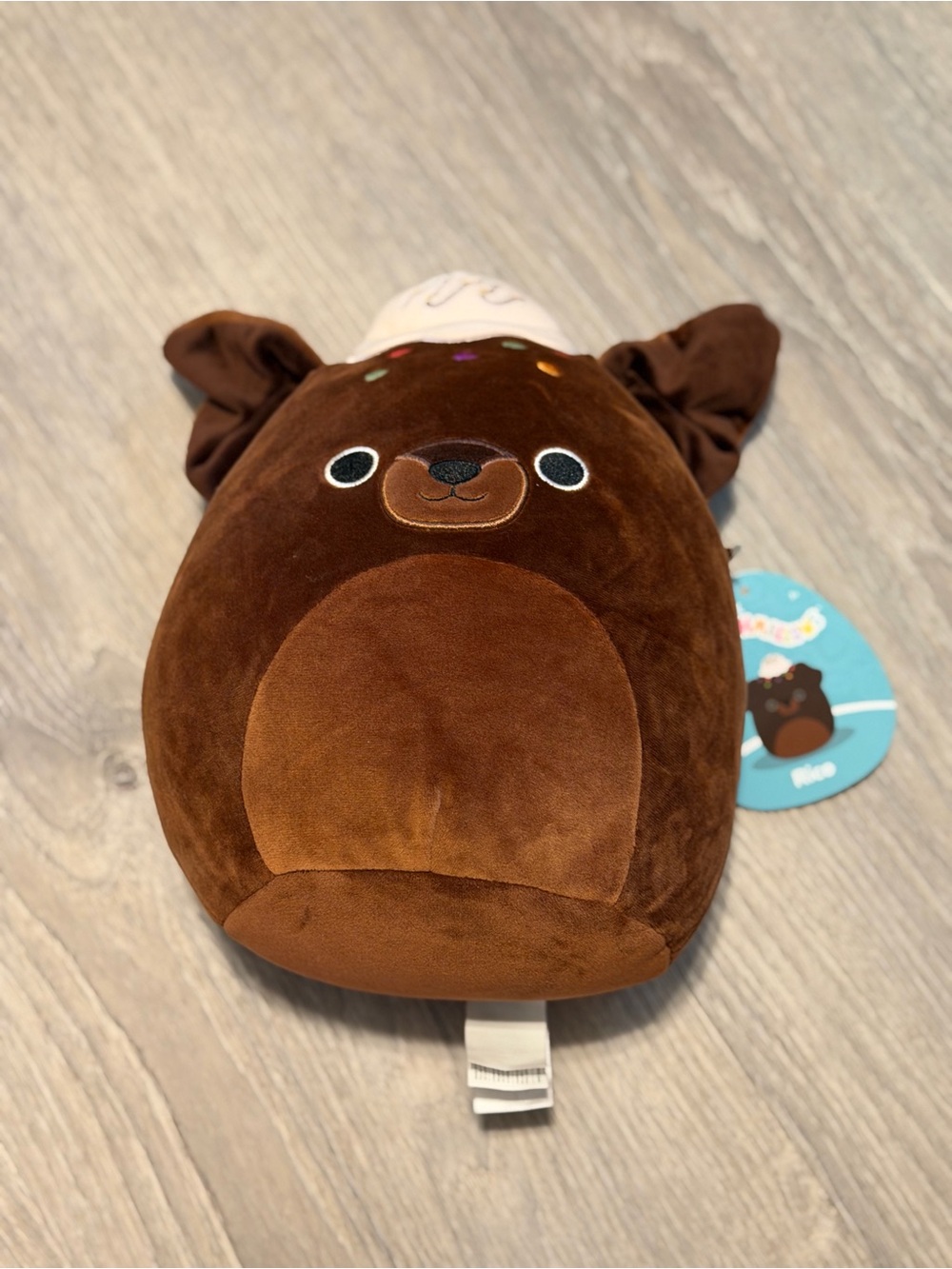 Squishmallows “Ice Cream” Rico